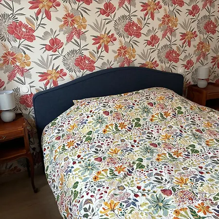 Chez Mamema 招待所